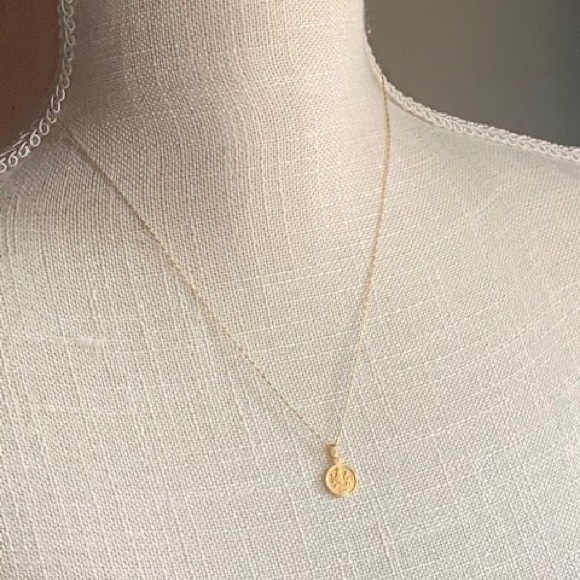 Tiny Zodiac Coin Necklace - Picture 1 of 11
